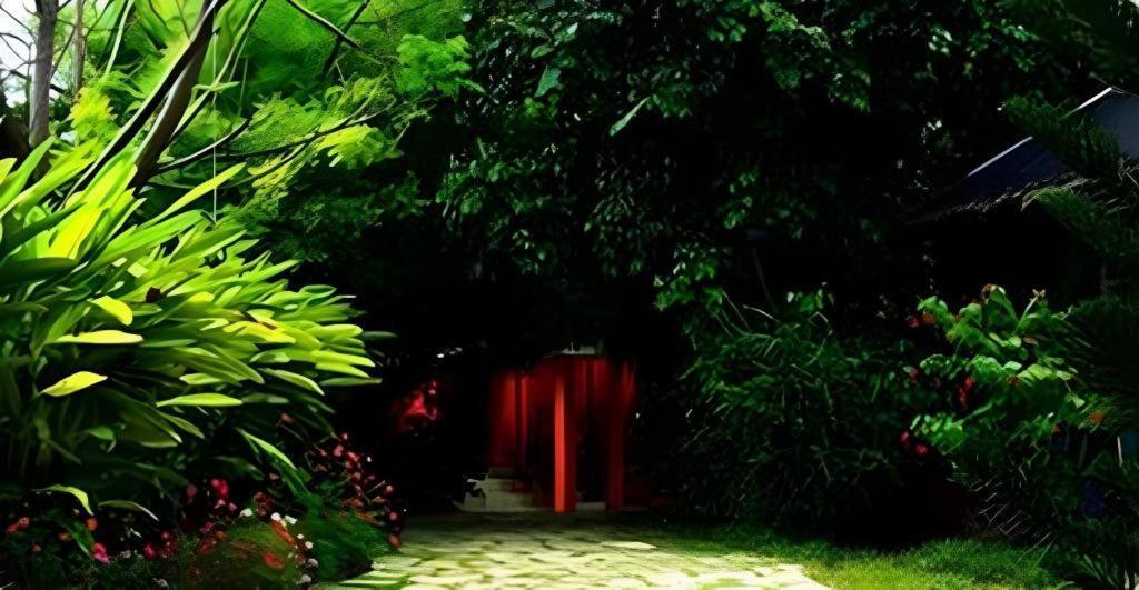 Alta Cebu Resort Экстерьер фото